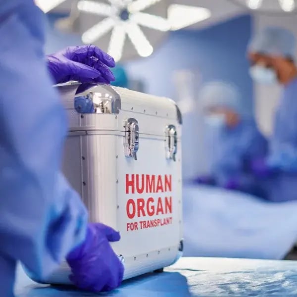 human organ transplant carrier